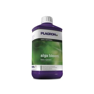 Alga bloom plagron