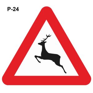 Paso de animales en libertad – ( P-24 )