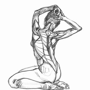 Anatomía artística 1