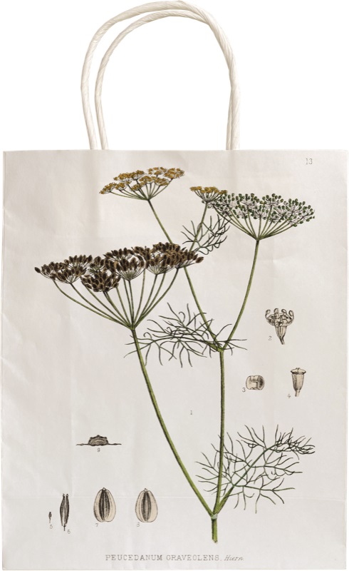 Paper Bag – 19*24*8 cm/Dill (Eneldo) - Imagen 2