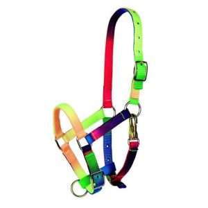 Cabezada Multicolor Potro