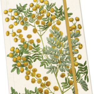 Notebooks A5 – Mimosas