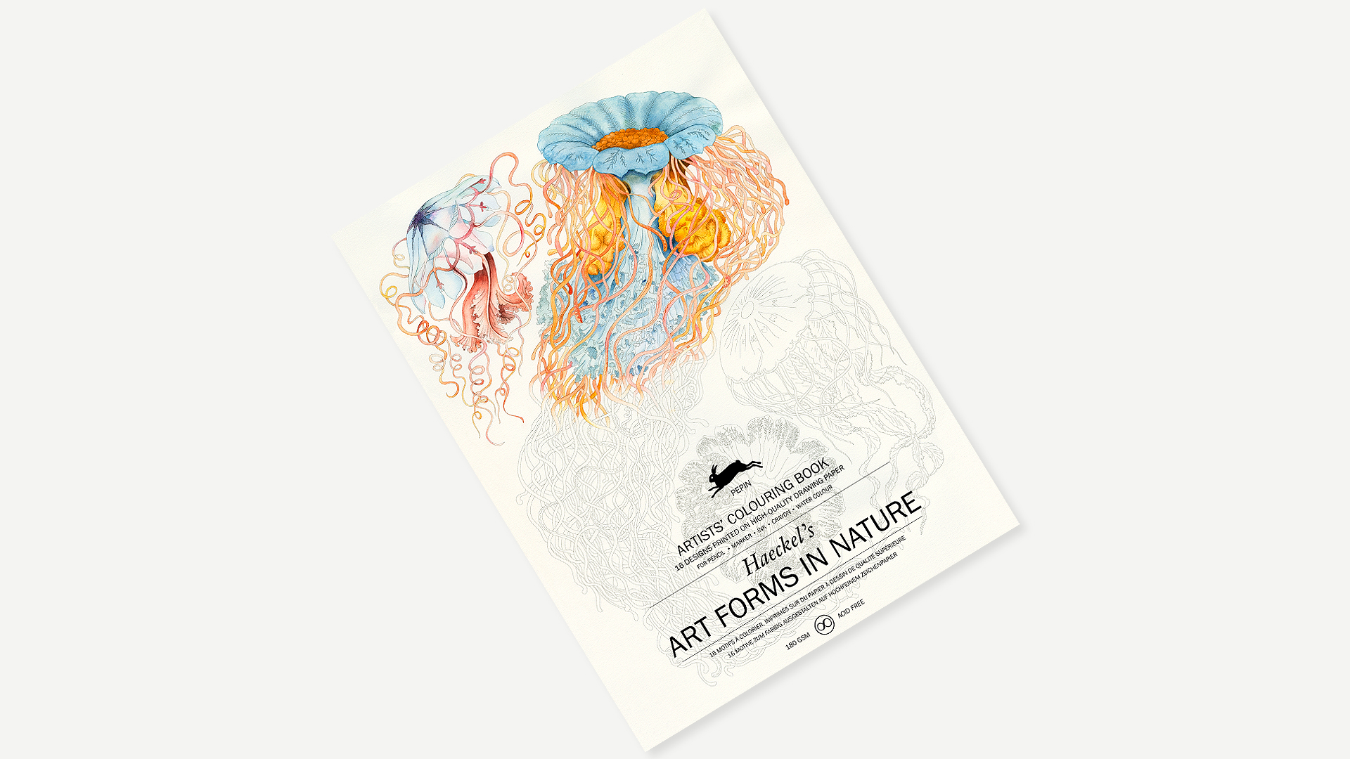 Libro de colorear con motivos diferentes de formas en la naturaleza de Pepin Press - Imagen 2