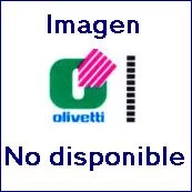 OLIVETTI PGL2040 TONER NEGRO ORIGINAL (15.000 PÁGS)