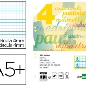 RECAMBIO LIDERPAPEL CUARTO PAUTAGUIA 100 HOJAS 75 G CUADRICULADO PAUTADO 4 MM CON MARGEN 6 TALADROS