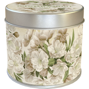 Vela de cera de soja Flor de manzano – Perfumada Manzana-